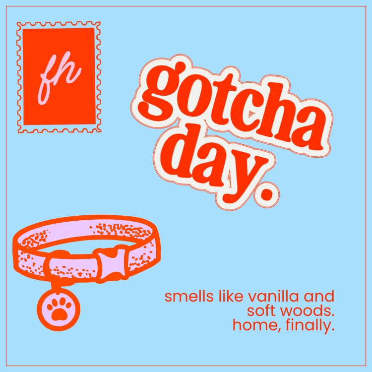 failed hobbies 'gotcha day' candle — lit, with flame